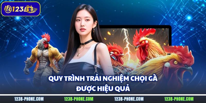 Quy trình trải nghiệm chọi gà được hiệu quả